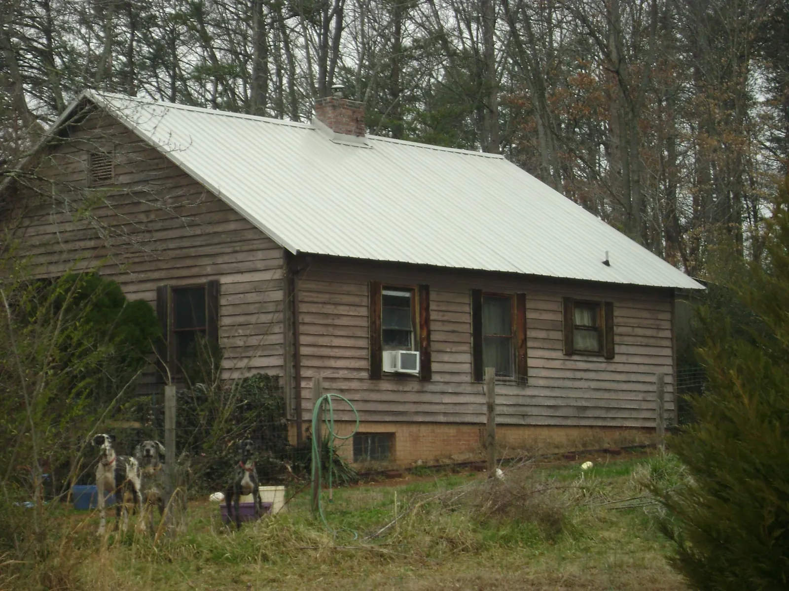White metal roof on an old wood sided farmhouse, from a Metal Roof Installation job in Troutdale